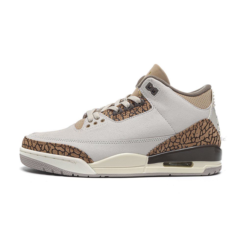 DD Jordan 3 Retro Palomino