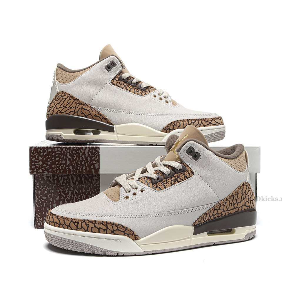 DD Jordan 3 Retro Palomino